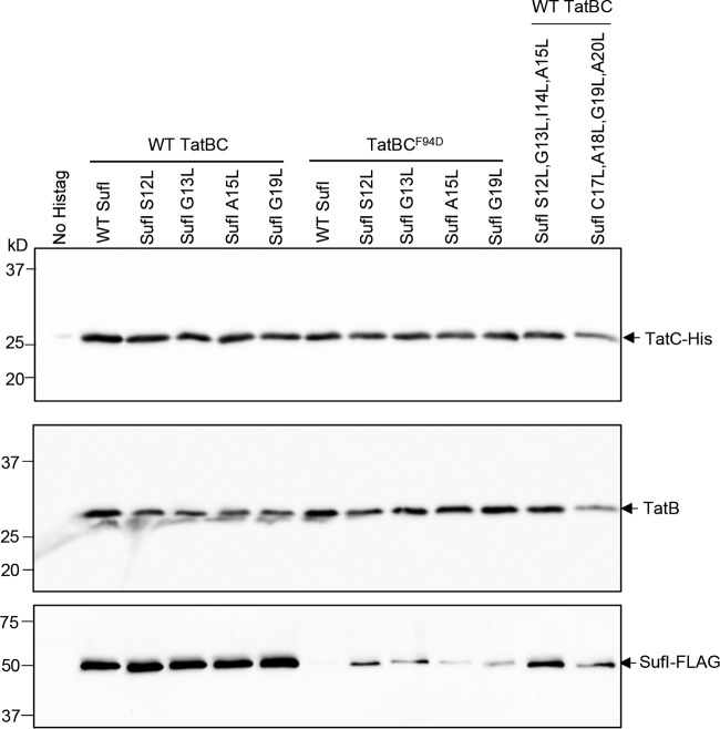 FIG 6 