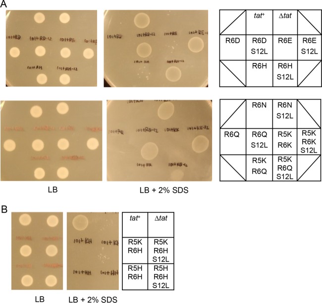 FIG 3 