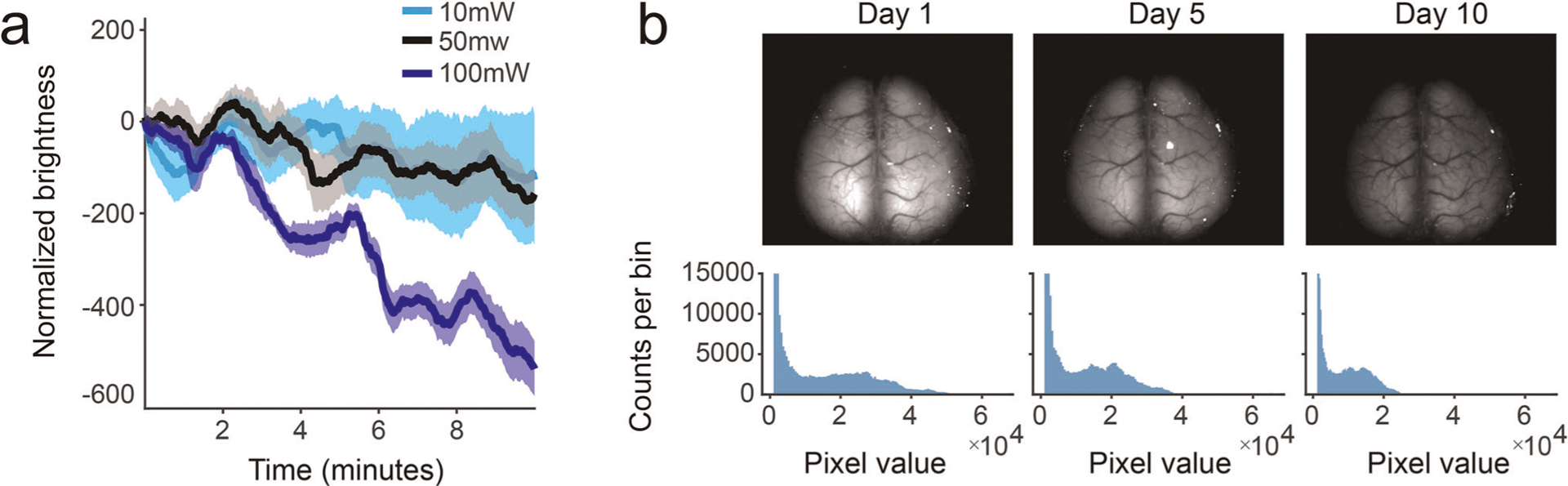 Extended Data Fig. 1 |