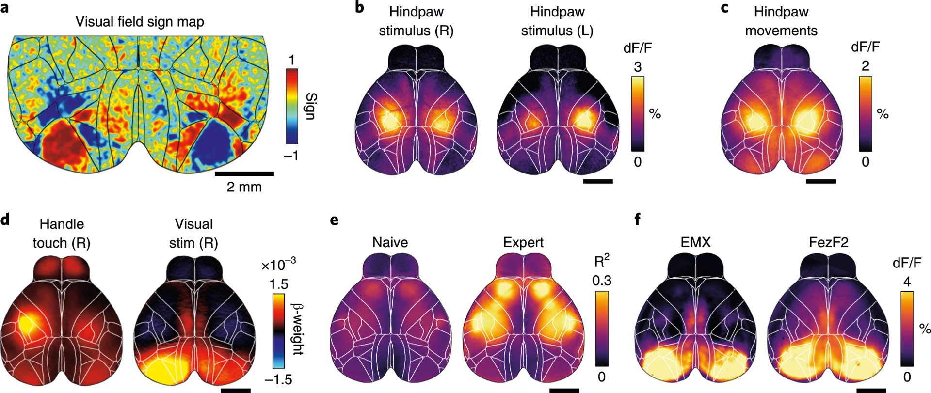 Fig. 7 |