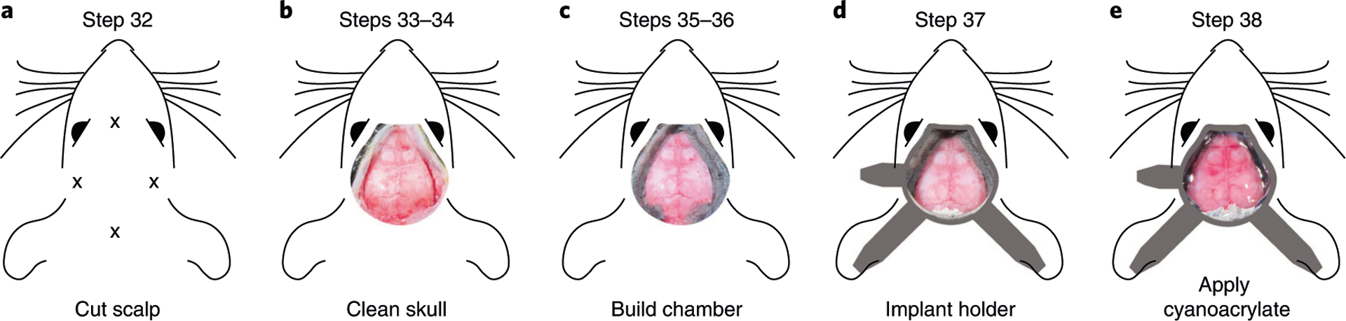 Fig. 5 |