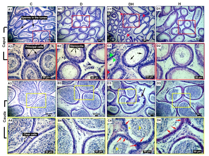 Fig. 7