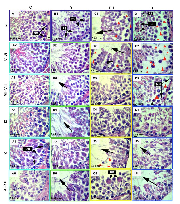 Fig. 6