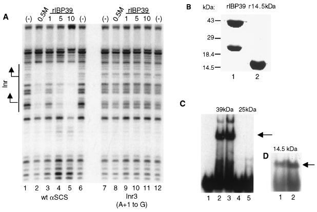 FIG. 6