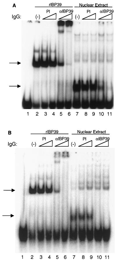 FIG. 8