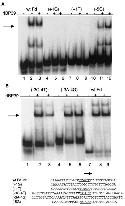 FIG. 7