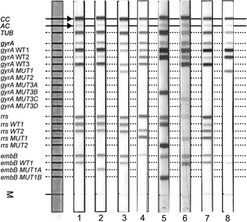 Fig 1