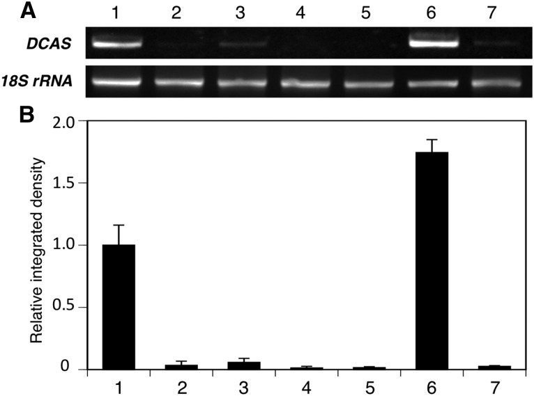 Figure 10.