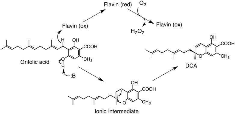 Figure 12.