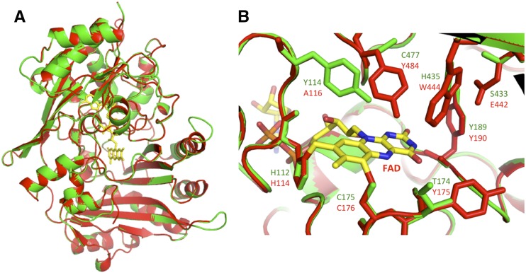 Figure 6.