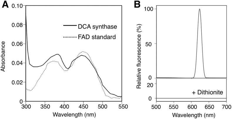 Figure 5.