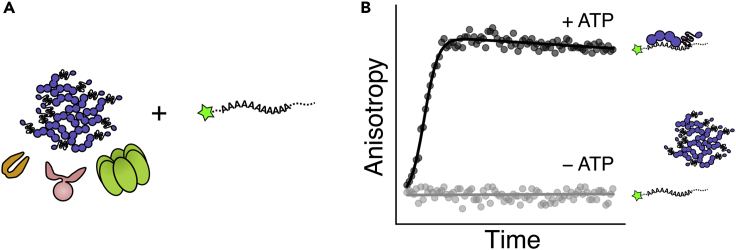 Figure 3