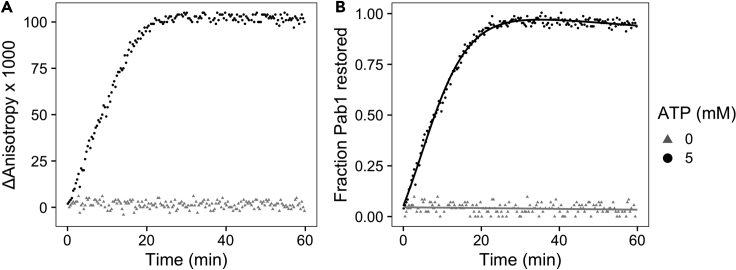 Figure 7