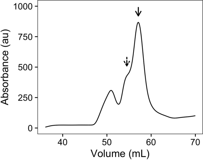 Figure 1