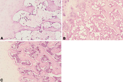 Fig. 2A–C