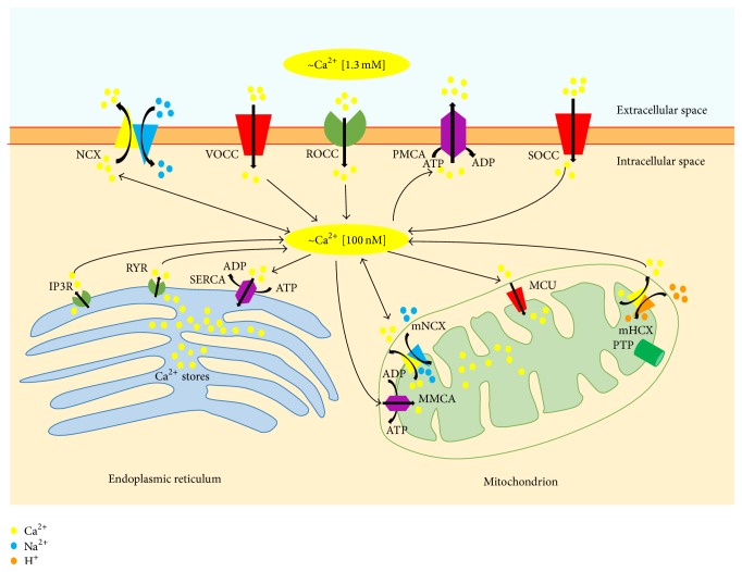 Figure 1