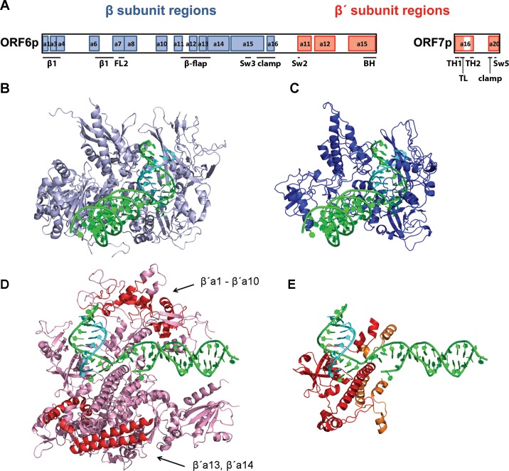 Fig 6