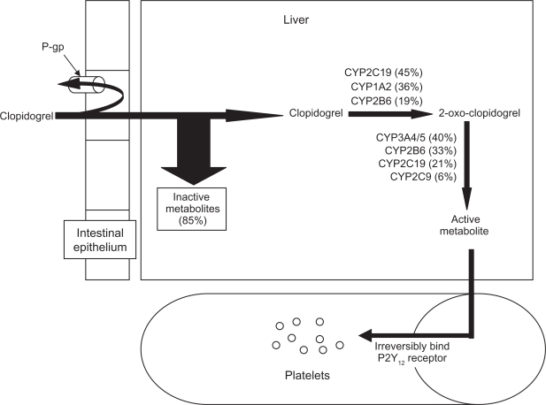 Figure 1.