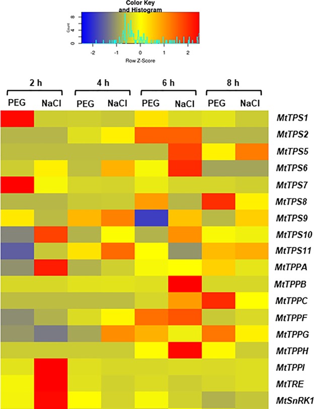 Figure 5