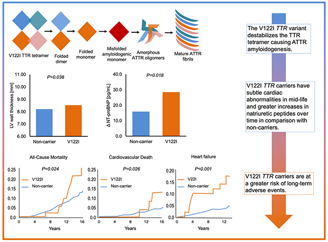 graphic file with name nihms-1748368-f0003.jpg