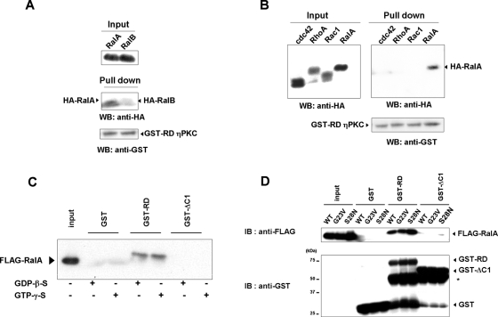 FIGURE 6: