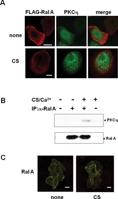 FIGURE 9: