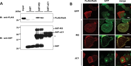 FIGURE 5: