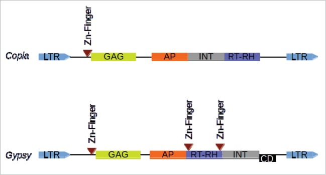 Figure 1.