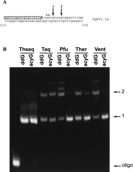 FIGURE 1.