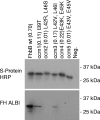 FIG. 5.