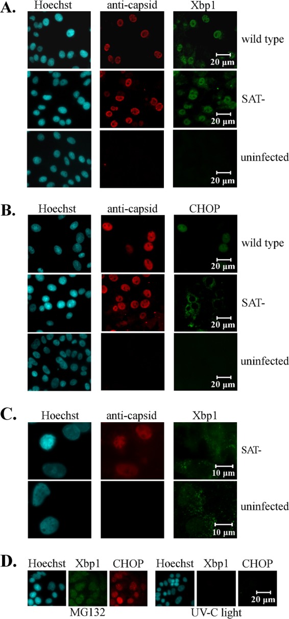 FIG 8