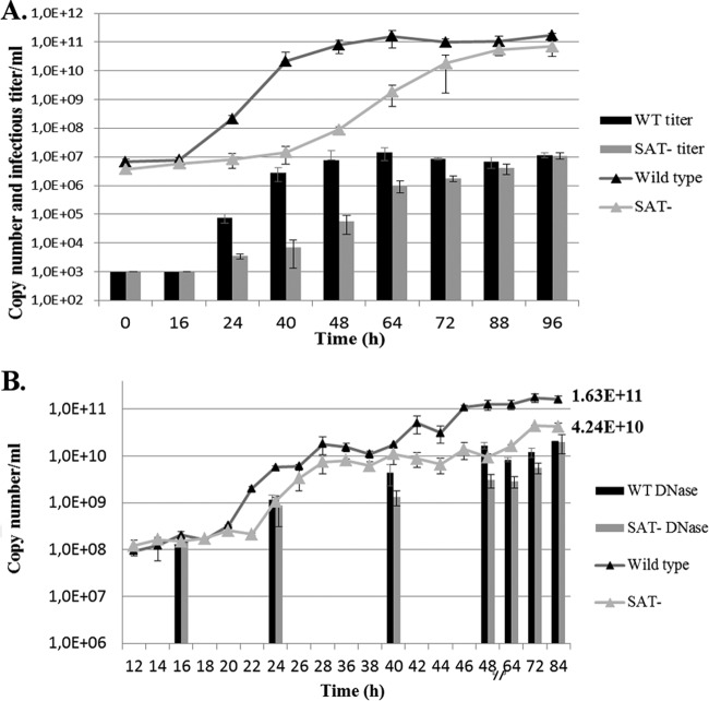 FIG 3