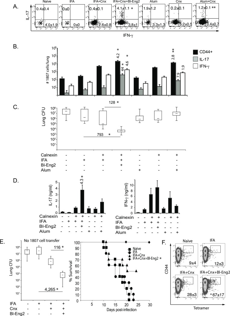 Fig 4