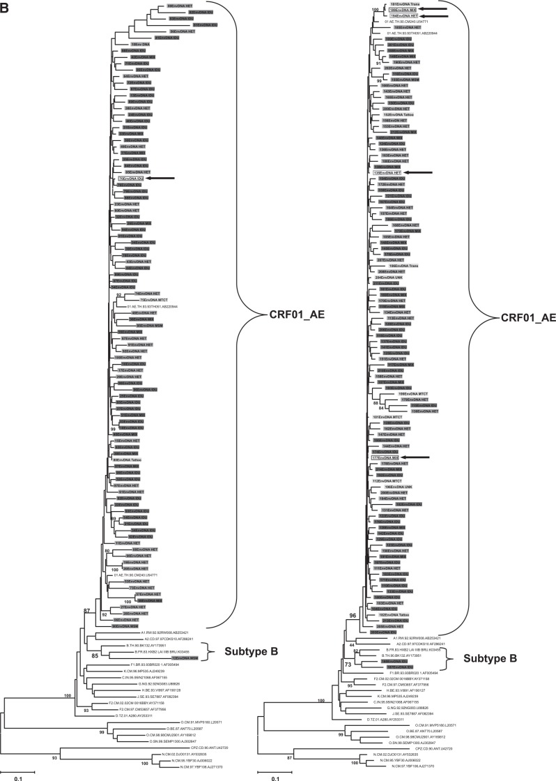 FIG. 1.