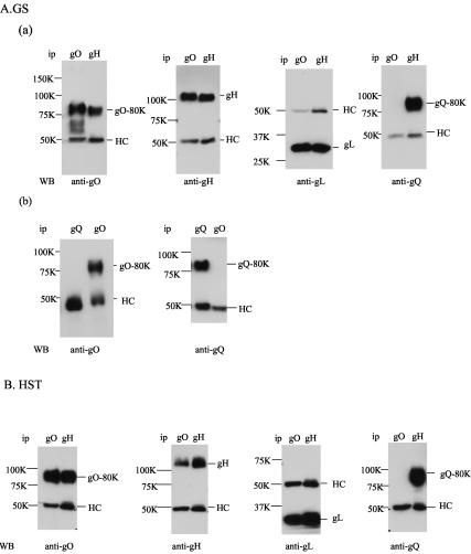 FIG. 6.