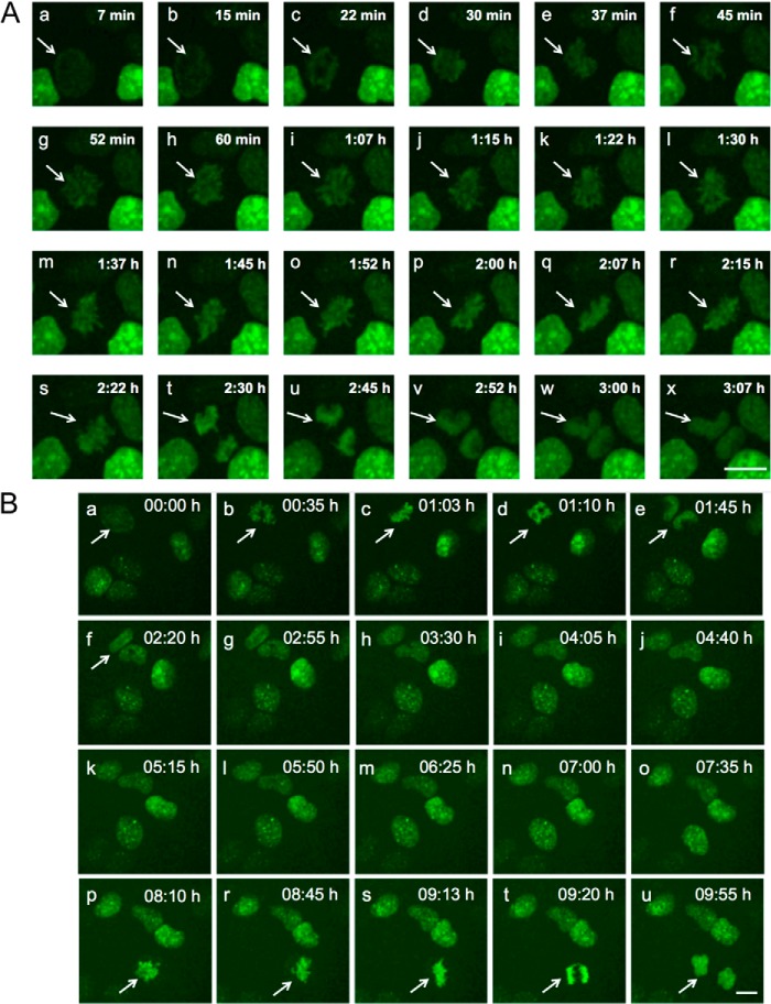 FIGURE 3.