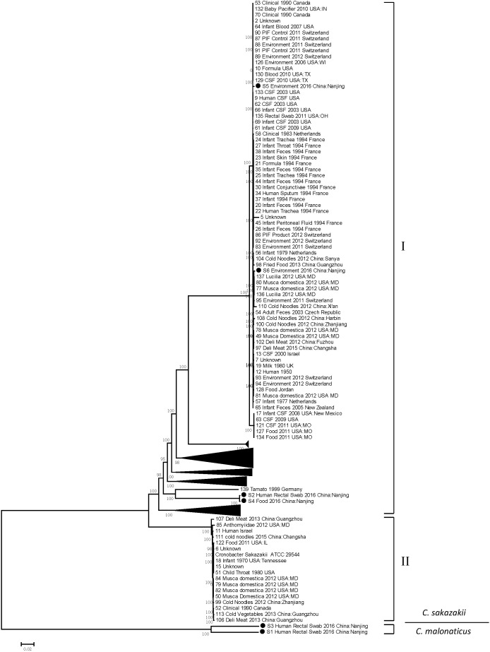 FIGURE 3