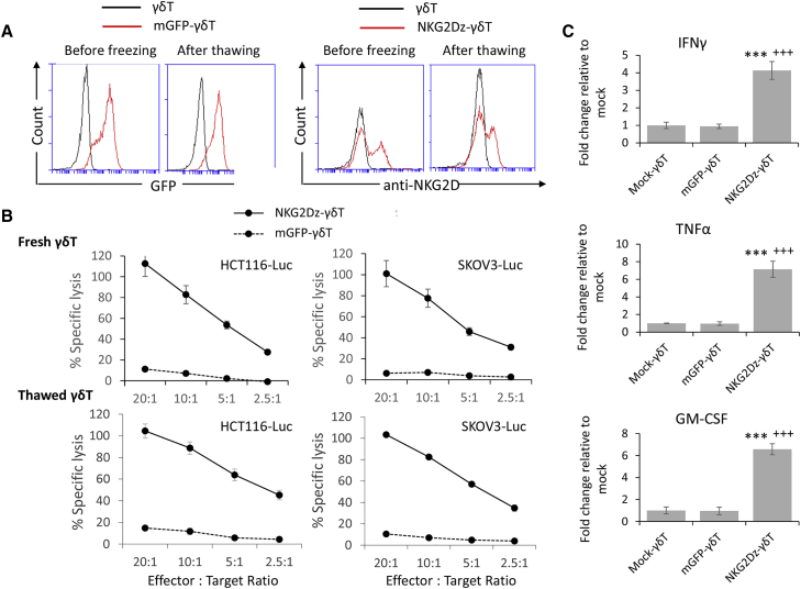 Figure 2