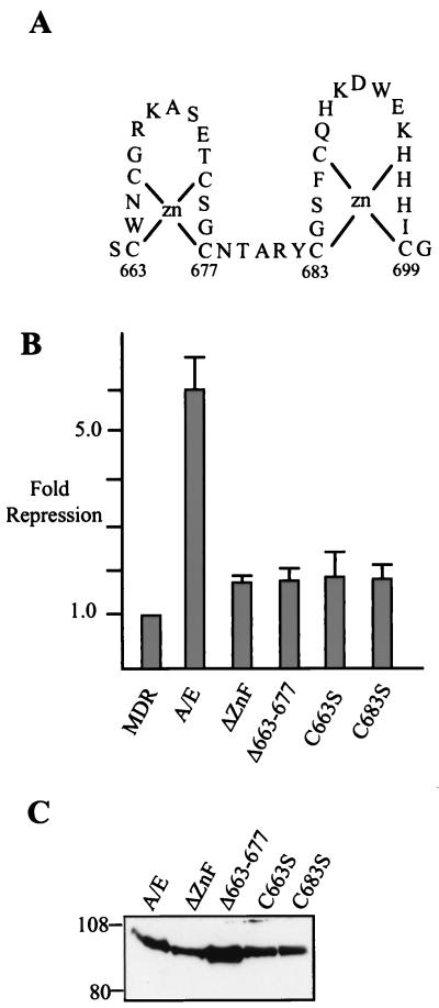 FIG. 5