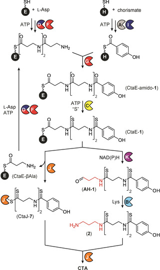 Scheme 1