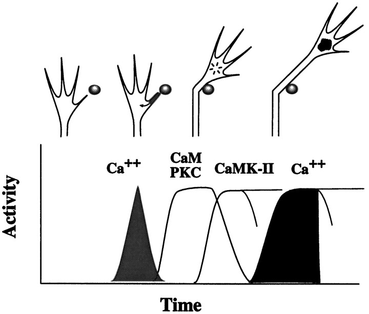 Fig. 10.