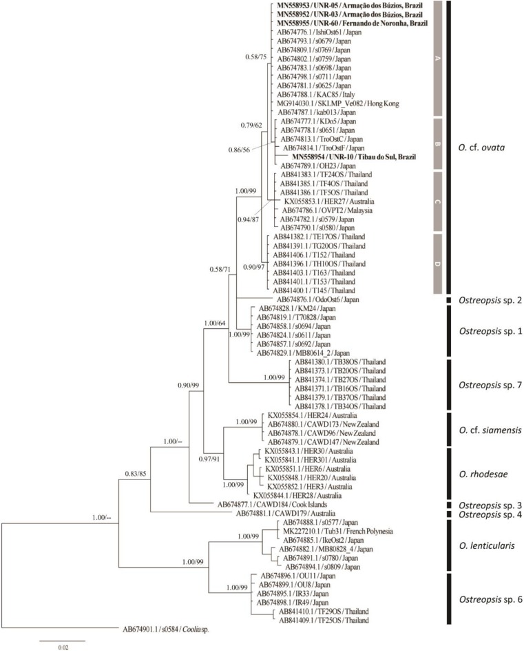 Figure 7