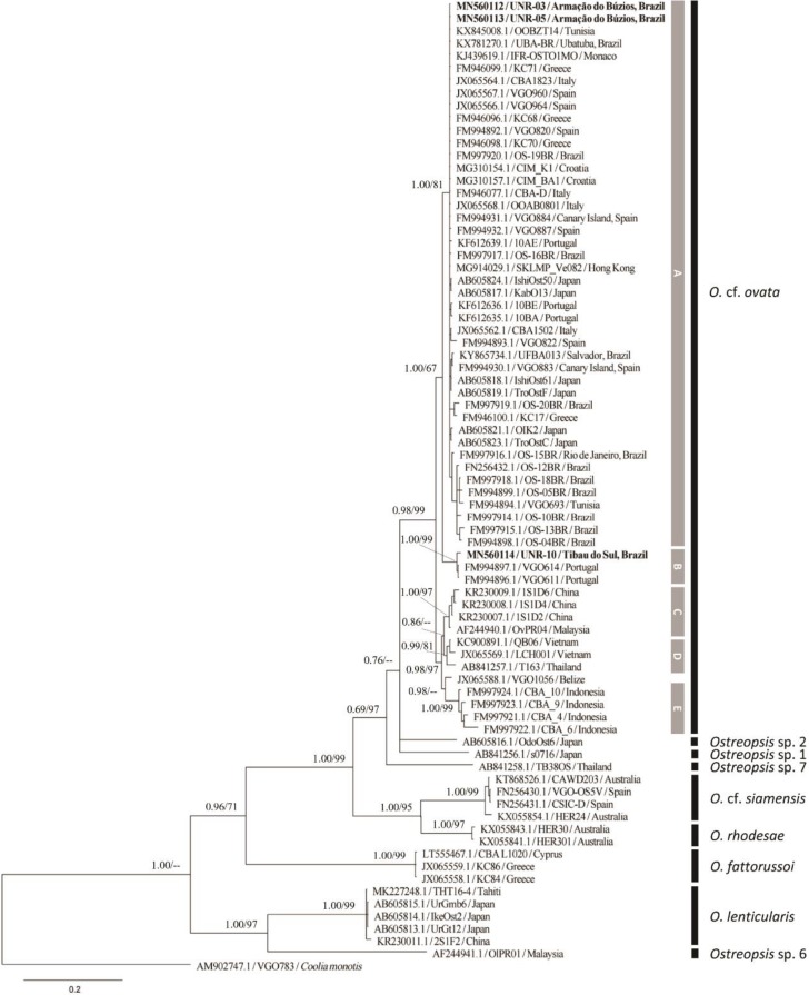 Figure 6