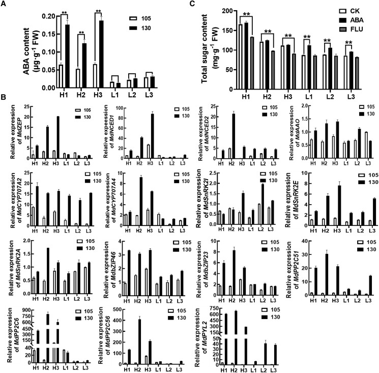 Figure 6.