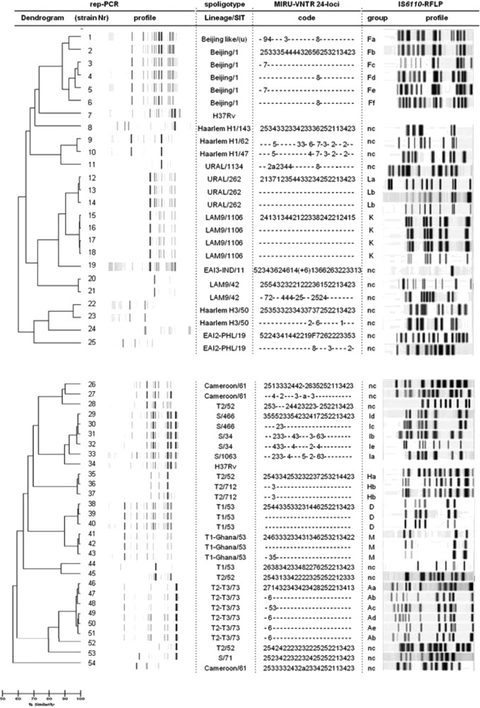 FIG 1