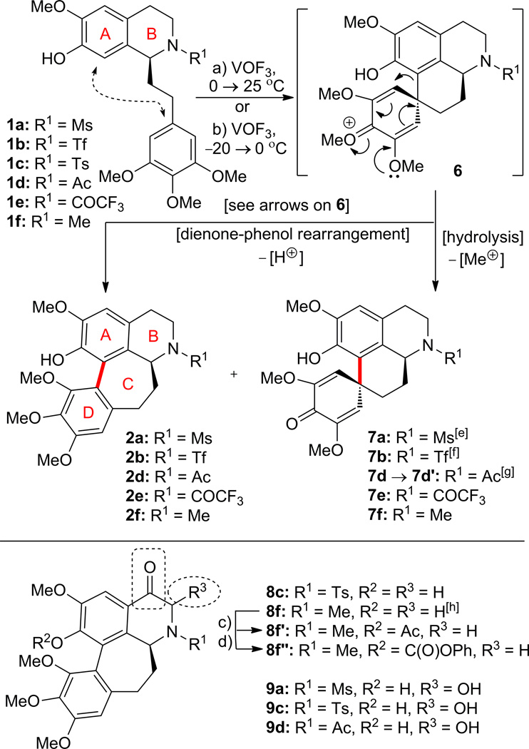 Scheme 2