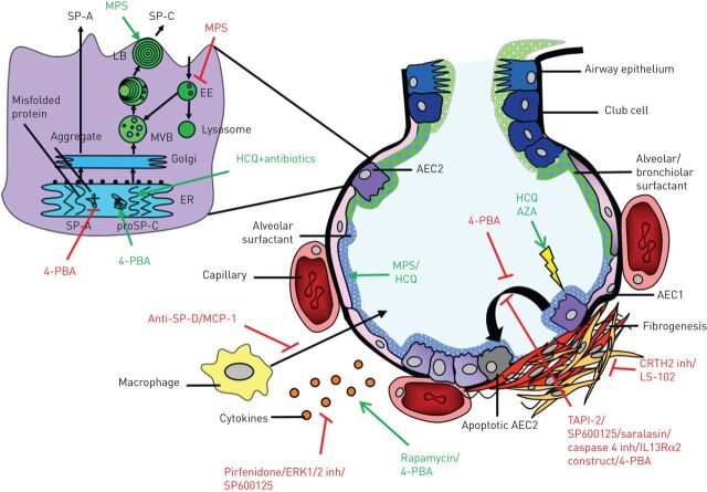 FIGURE 2