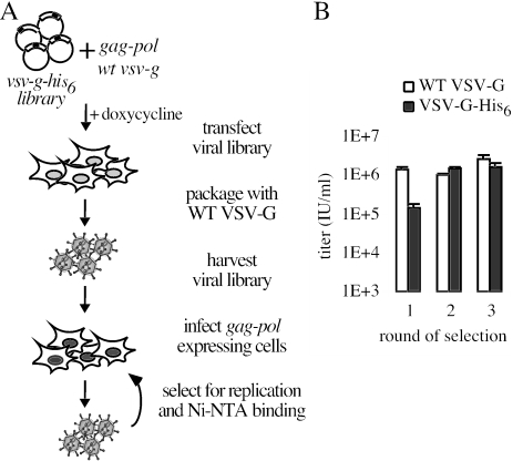 FIG. 3.