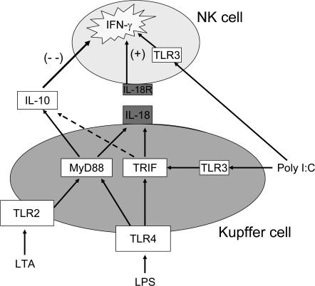 Figure 10.