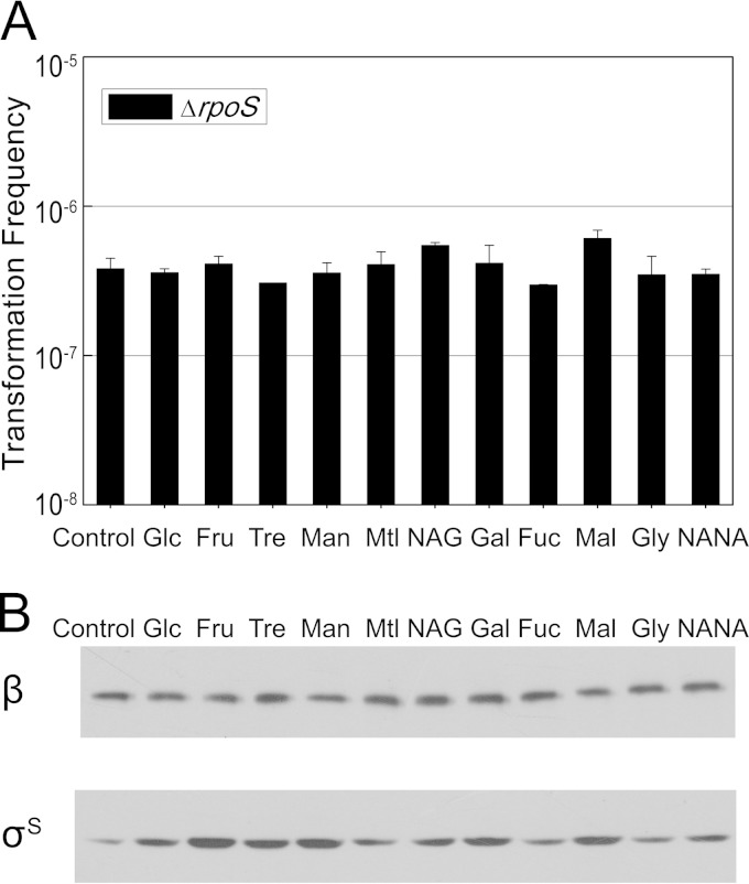 FIG 7